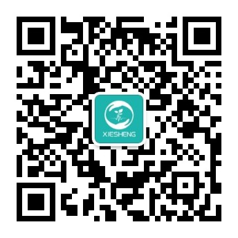 攜生醫(yī)療|髖關節(jié)疾病|膝關節(jié)疾病|肩關節(jié)疾病|骨科產(chǎn)品[官方網(wǎng)站]
